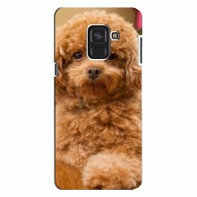 Чехлы с собаками для Samsung A8, A8 2018, A530F (VPrint) кудрявый Щенок Бишон - купить на Floy.com.ua