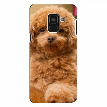 Чехлы с собаками для Samsung A8 Plus , A8 Plus 2018, A730F (VPrint) кудрявый Щенок Бишон - купить на Floy.com.ua