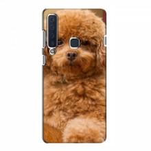 Чехлы с собаками для Samsung A9 2018 (VPrint) кудрявый Щенок Бишон - купить на Floy.com.ua