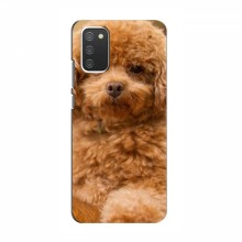 Чехлы с собаками для Samsung Galaxy A02s (VPrint) кудрявый Щенок Бишон - купить на Floy.com.ua