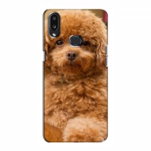 Чехлы с собаками для Samsung Galaxy A10s (A107) (VPrint) кудрявый Щенок Бишон - купить на Floy.com.ua