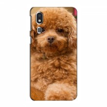 Чехлы с собаками для Samsung Galaxy A2 Core (VPrint) кудрявый Щенок Бишон - купить на Floy.com.ua