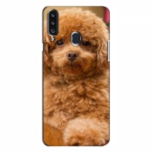 Чехлы с собаками для Samsung Galaxy A20s (A207) (VPrint) кудрявый Щенок Бишон - купить на Floy.com.ua