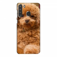 Чехлы с собаками для Samsung Galaxy A21 (A215) (VPrint) кудрявый Щенок Бишон - купить на Floy.com.ua