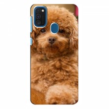 Чехлы с собаками для Samsung Galaxy A21s (VPrint) кудрявый Щенок Бишон - купить на Floy.com.ua