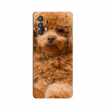 Чехлы с собаками для Samsung Galaxy A32 (VPrint) кудрявый Щенок Бишон - купить на Floy.com.ua