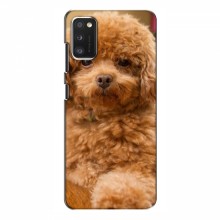 Чехлы с собаками для Samsung Galaxy A41 (A415) (VPrint) кудрявый Щенок Бишон - купить на Floy.com.ua