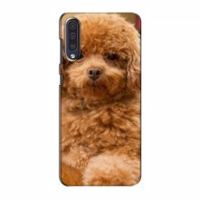 Чехлы с собаками для Samsung Galaxy A50 2019 (A505F) (VPrint) кудрявый Щенок Бишон - купить на Floy.com.ua