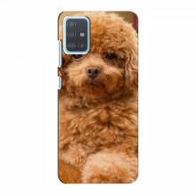 Чехлы с собаками для Samsung Galaxy A51 5G (A516) (VPrint) кудрявый Щенок Бишон - купить на Floy.com.ua