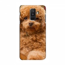 Чехлы с собаками для Samsung A6 Plus 2018, A6 Plus 2018, A605 (VPrint) кудрявый Щенок Бишон - купить на Floy.com.ua