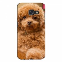 Чехлы с собаками для Samsung A7 2017, A720, A720F (VPrint) кудрявый Щенок Бишон - купить на Floy.com.ua
