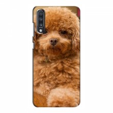 Чехлы с собаками для Samsung Galaxy A70 2019 (A705F) (VPrint) кудрявый Щенок Бишон - купить на Floy.com.ua