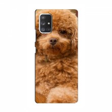 Чехлы с собаками для Samsung Galaxy A72 (VPrint) кудрявый Щенок Бишон - купить на Floy.com.ua