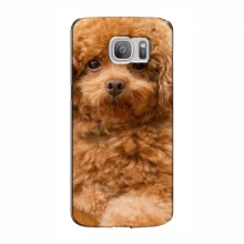 Чехлы с собаками для Samsung S7 Еdge, G935 (VPrint) кудрявый Щенок Бишон - купить на Floy.com.ua