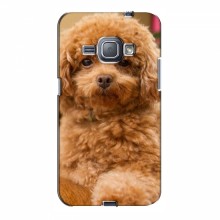 Чехлы с собаками для Samsung J1 2016, J120, J120F (VPrint) кудрявый Щенок Бишон - купить на Floy.com.ua