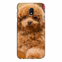 Чехлы с собаками для Samsung J3 2017, J330FN европейская версия (VPrint) кудрявый Щенок Бишон - купить на Floy.com.ua