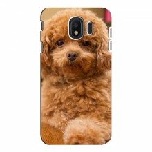 Чехлы с собаками для Samsung J4 2018 (VPrint) кудрявый Щенок Бишон - купить на Floy.com.ua