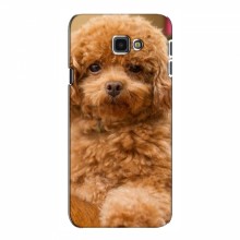 Чехлы с собаками для Samsung J4+, J4 Plus (VPrint) кудрявый Щенок Бишон - купить на Floy.com.ua