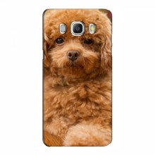 Чехлы с собаками для Samsung J5 2016, J510, J5108 (VPrint) кудрявый Щенок Бишон - купить на Floy.com.ua