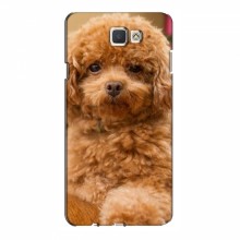 Чехлы с собаками для Samsung J7 Prime, G610 (VPrint) кудрявый Щенок Бишон - купить на Floy.com.ua