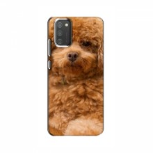 Чехлы с собаками для Samsung Galaxy M02s (VPrint) кудрявый Щенок Бишон - купить на Floy.com.ua