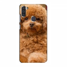 Чехлы с собаками для Samsung Galaxy M11 (VPrint) кудрявый Щенок Бишон - купить на Floy.com.ua