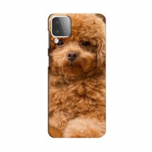 Чехлы с собаками для Samsung Galaxy M12 (VPrint) кудрявый Щенок Бишон - купить на Floy.com.ua