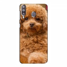 Чехлы с собаками для Samsung Galaxy M30 (VPrint) кудрявый Щенок Бишон - купить на Floy.com.ua