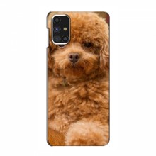 Чехлы с собаками для Samsung Galaxy M31s (VPrint) кудрявый Щенок Бишон - купить на Floy.com.ua
