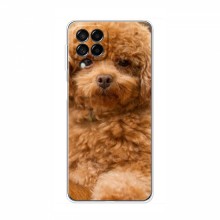 Чехлы с собаками для Samsung Galaxy M32 (VPrint) кудрявый Щенок Бишон - купить на Floy.com.ua