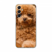 Чехлы с собаками для Samsung Galaxy M34 (5G) (VPrint) кудрявый Щенок Бишон - купить на Floy.com.ua