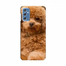 Чехлы с собаками для Samsung Galaxy M52 5G (M526) (VPrint) кудрявый Щенок Бишон - купить на Floy.com.ua