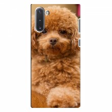 Чехлы с собаками для Samsung Galaxy Note 10 (VPrint) кудрявый Щенок Бишон - купить на Floy.com.ua