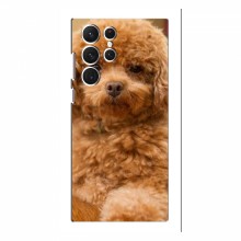 Чехлы с собаками для Samsung Galaxy S22 Ultra (VPrint) кудрявый Щенок Бишон - купить на Floy.com.ua