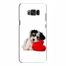 Чехлы с собаками для Samsung S8, Galaxy S8, G950 (VPrint) Песик - купить на Floy.com.ua