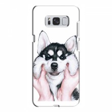 Чехлы с собаками для Samsung S8 Plus, Galaxy S8+, S8 Плюс G955 (VPrint) Довольный Хаски - купить на Floy.com.ua