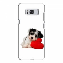 Чехлы с собаками для Samsung S8 Plus, Galaxy S8+, S8 Плюс G955 (VPrint) Песик - купить на Floy.com.ua