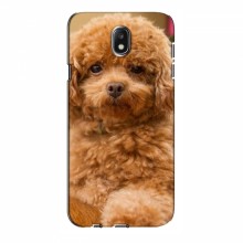 Чехлы с собаками для Samsung J5 2017, J5 европейская версия (VPrint) кудрявый Щенок Бишон - купить на Floy.com.ua