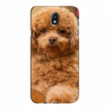 Чехлы с собаками для Samsung J7 2017, J7 европейская версия (VPrint) кудрявый Щенок Бишон - купить на Floy.com.ua