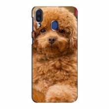 Чехлы с собаками для Samsung Galaxy M20 (VPrint) кудрявый Щенок Бишон - купить на Floy.com.ua