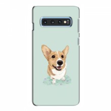 Чехлы с собаками для Samsung S10e (VPrint) - купить на Floy.com.ua