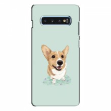 Чехлы с собаками для Samsung S10 Plus (VPrint) - купить на Floy.com.ua