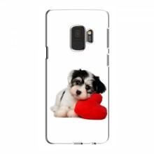 Чехлы с собаками для Samsung S9 (VPrint) Песик - купить на Floy.com.ua