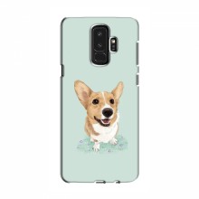 Чехлы с собаками для Samsung S9 Plus (VPrint) Корги - купить на Floy.com.ua