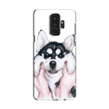 Чехлы с собаками для Samsung S9 Plus (VPrint) Довольный Хаски - купить на Floy.com.ua