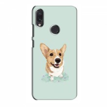 Чехлы с собаками для Samsung Galaxy M01s (VPrint) - купить на Floy.com.ua