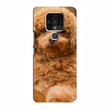 Чехлы с собаками для TECNO Camon 16 Pro (VPrint) кудрявый Щенок Бишон - купить на Floy.com.ua