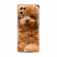 Чехлы с собаками для TECNO POP 4 Pro (VPrint) кудрявый Щенок Бишон - купить на Floy.com.ua