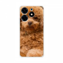 Чехлы с собаками для TECNO Spark 10 Pro (VPrint) кудрявый Щенок Бишон - купить на Floy.com.ua
