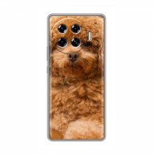 Чехлы с собаками для TECNO Spark 20 Pro Plus (VPrint) кудрявый Щенок Бишон - купить на Floy.com.ua